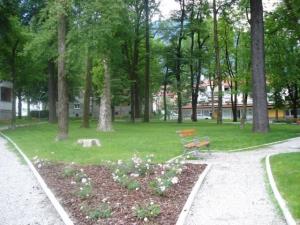 Mestno drevje v Tolminu – javni delavnici sooblikovanja smernic za ravnanje z mestno drevnino 2